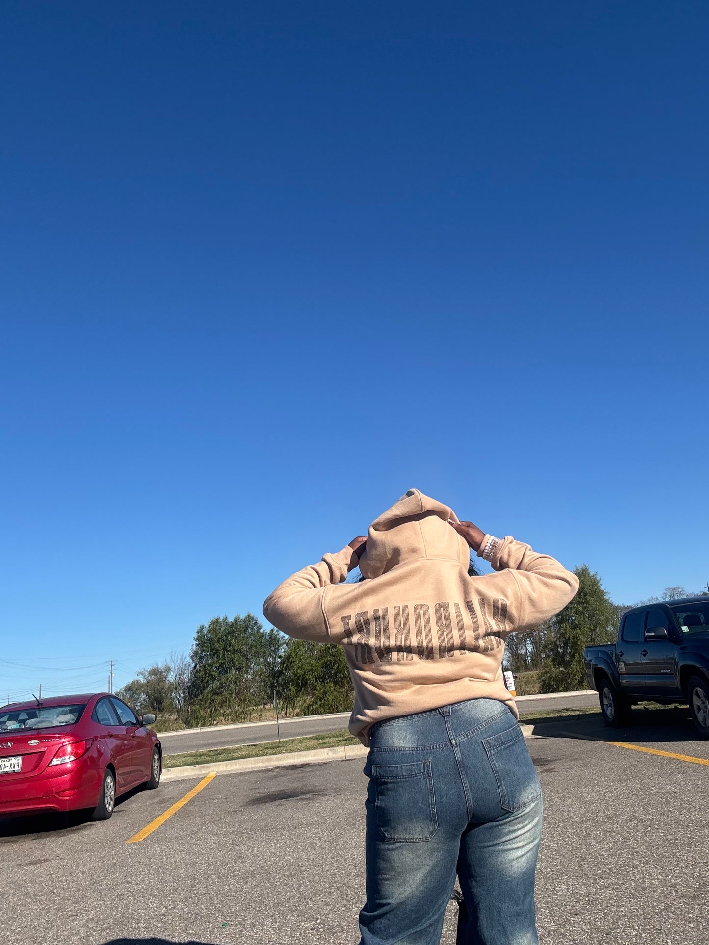 Criticism Without Credit Hoodie🗣️